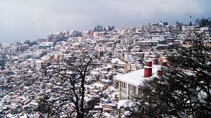 NES0275 Shimla Sightseeing
