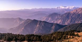 NES0164 Chopta Sightseeing 