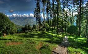NES0167 Dhanaulti Sightseeing 