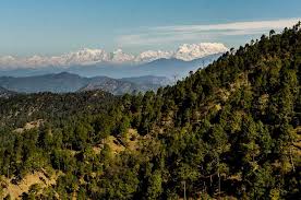 NES0179 Binsar Sightseeing 