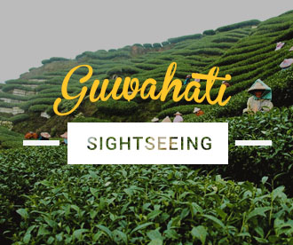 NES0010  Guwahati Sightseeing