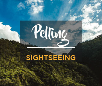 NES0004  Pelling Sightseeing