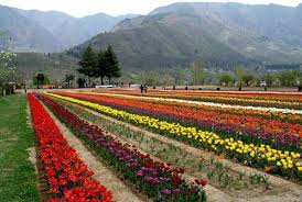 NES0147 Anantnag Sightseeing