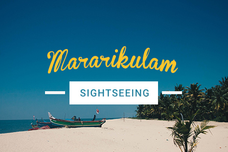 NES0028 Mararikulam Sightseeing